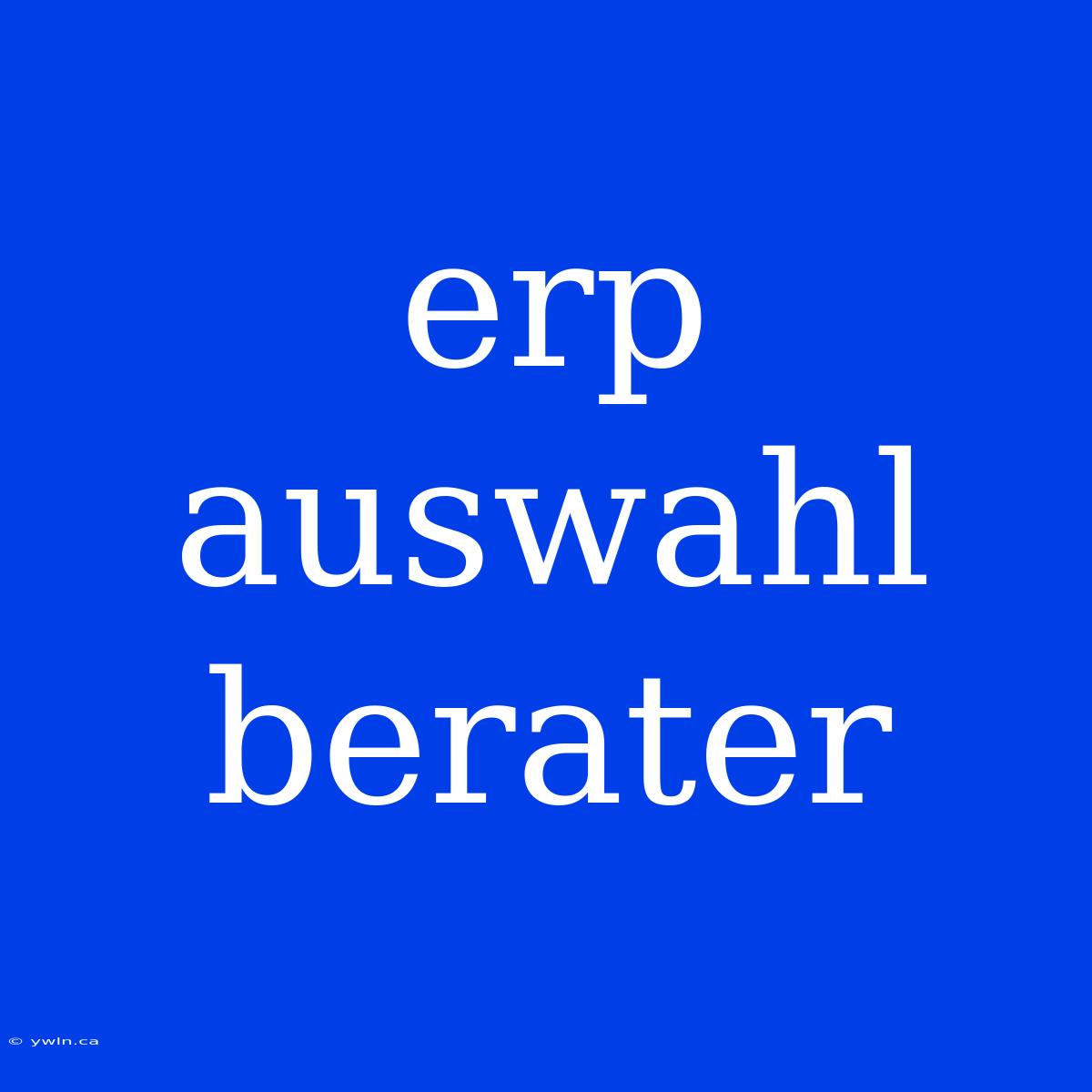 Erp Auswahl Berater