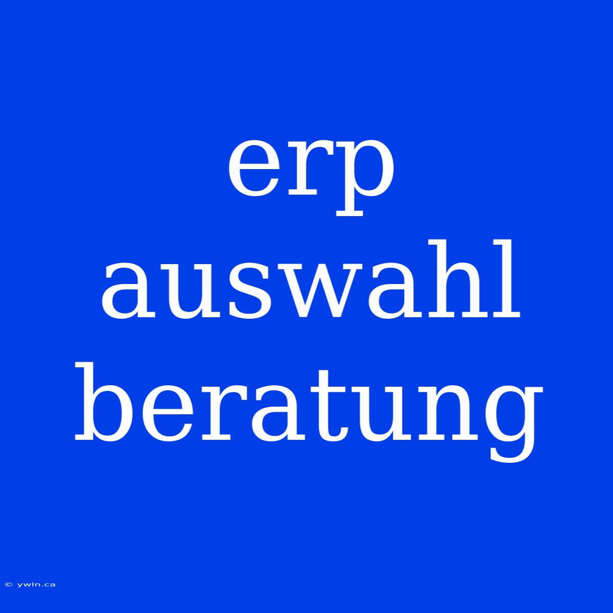 Erp Auswahl Beratung