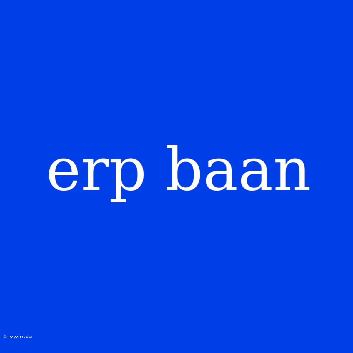 Erp Baan