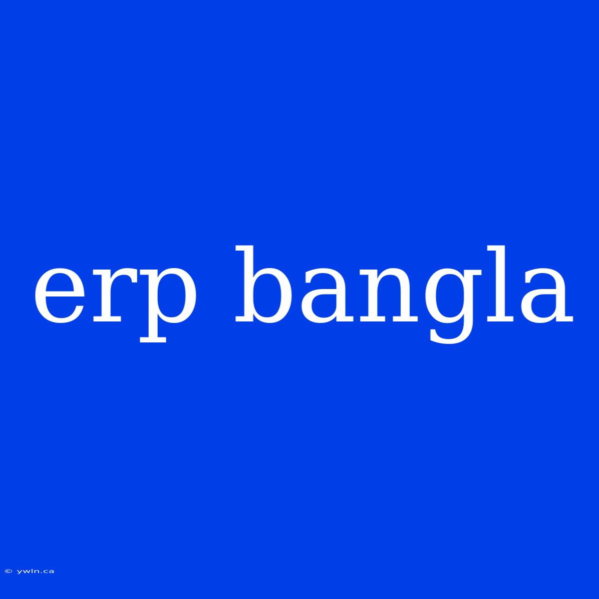 Erp Bangla