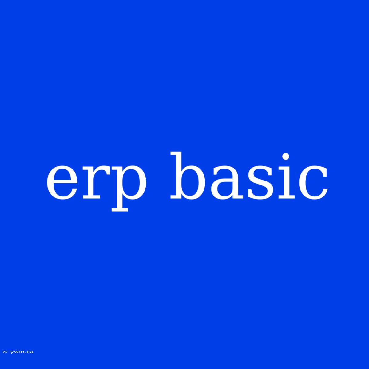 Erp Basic