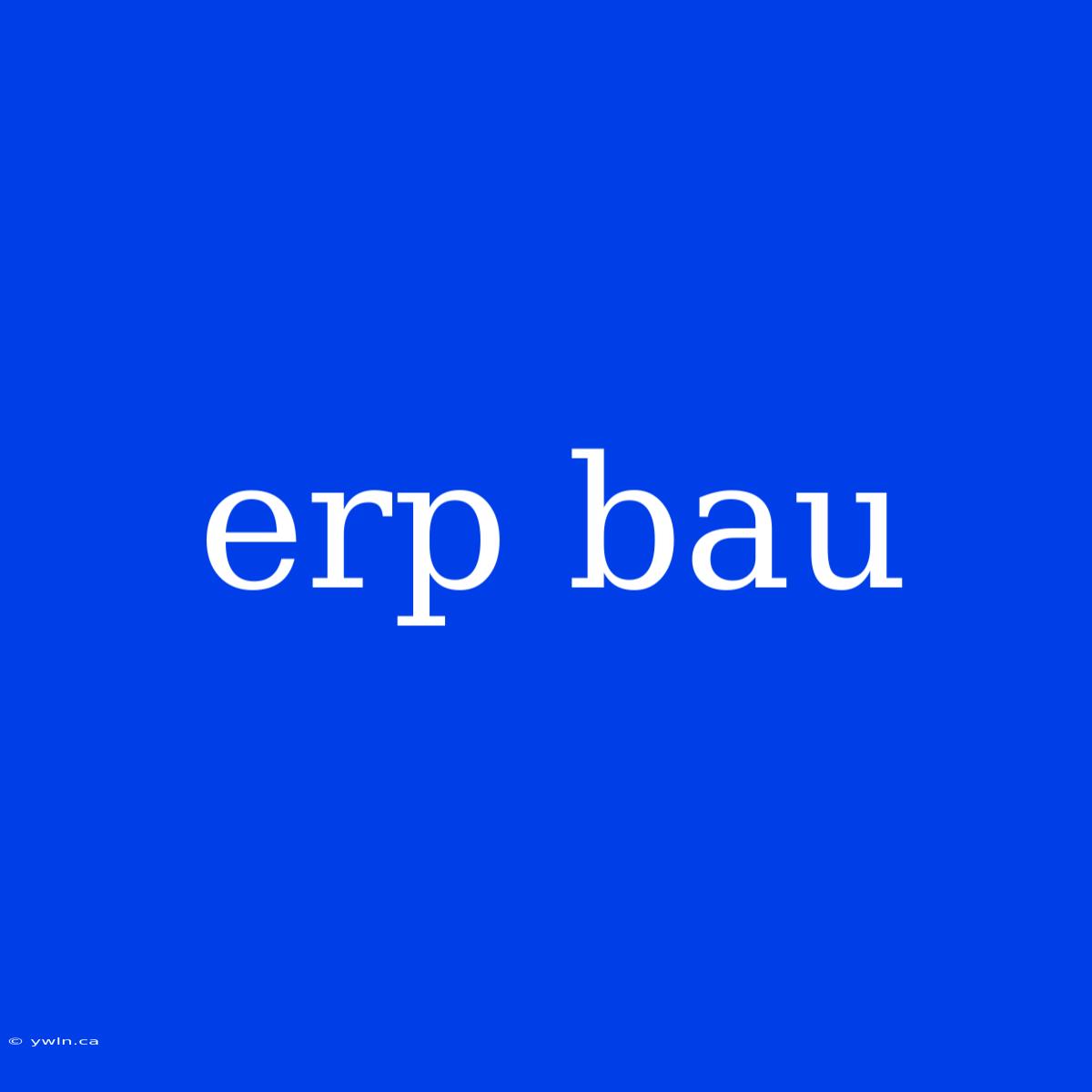 Erp Bau