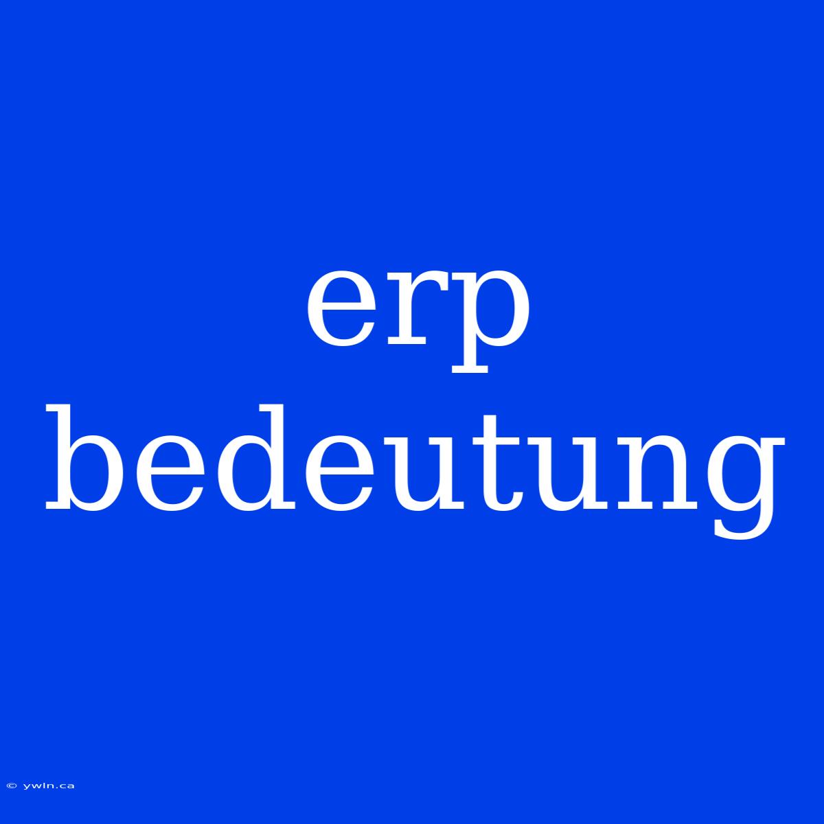 Erp Bedeutung