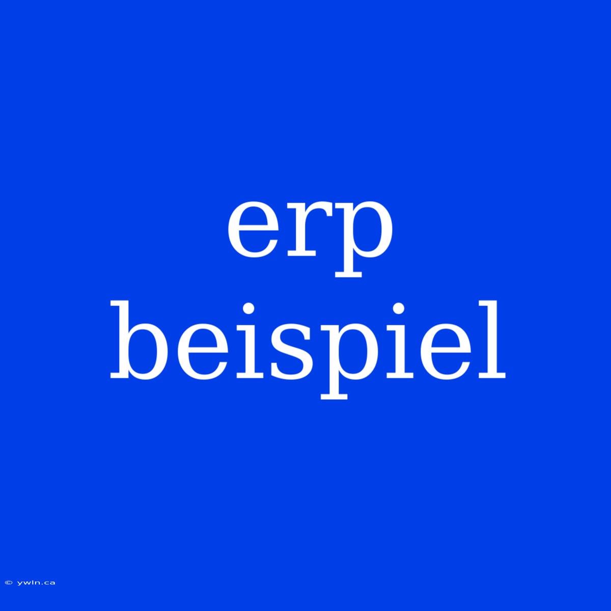 Erp Beispiel