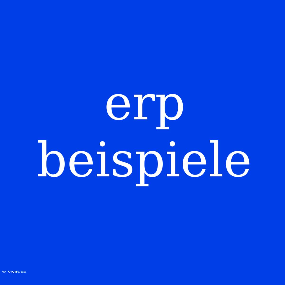 Erp Beispiele