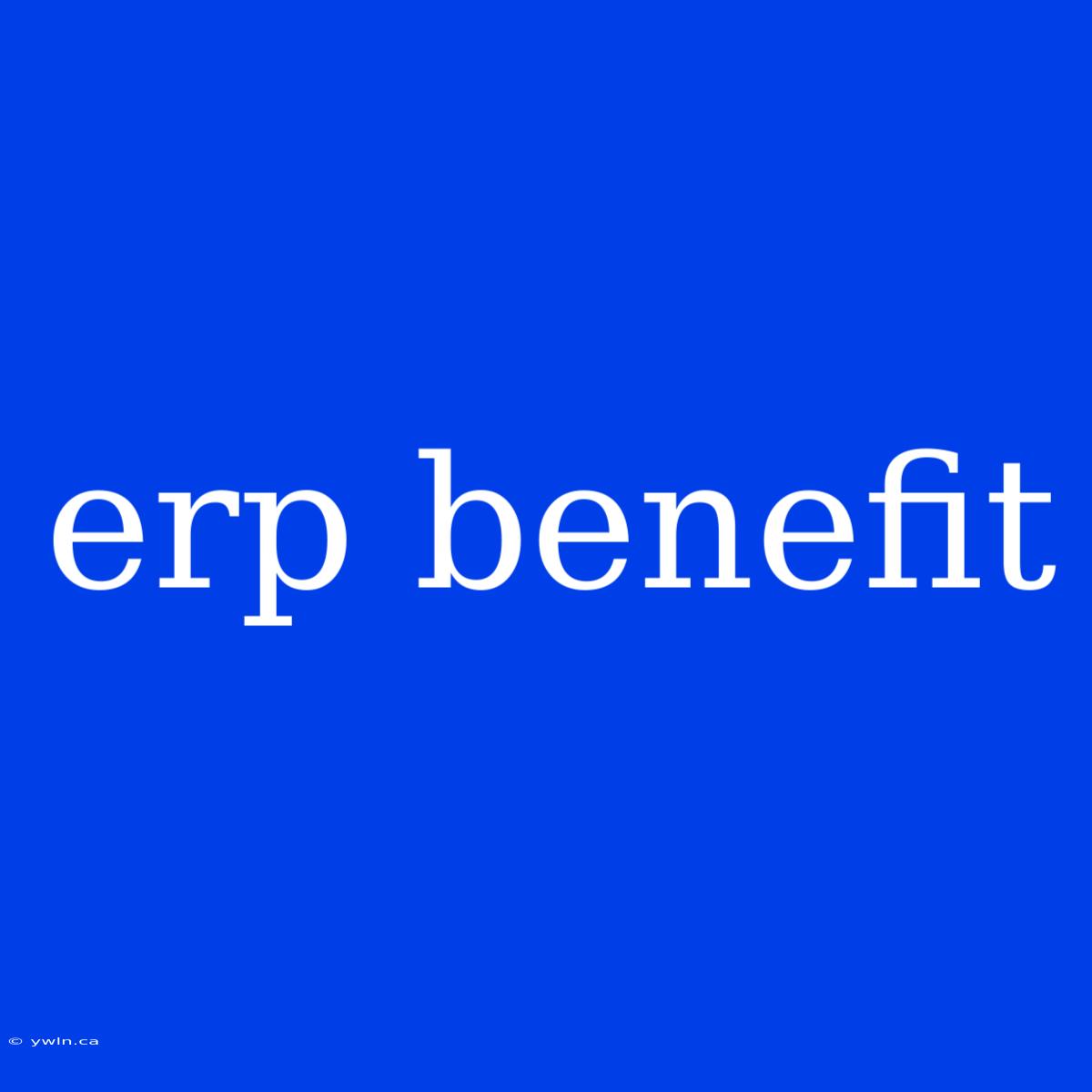 Erp Benefit