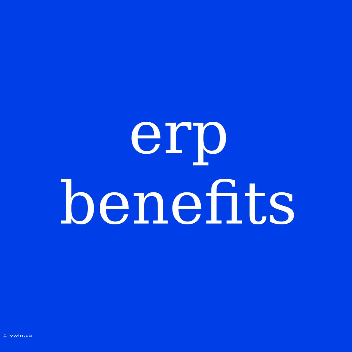 Erp Benefits