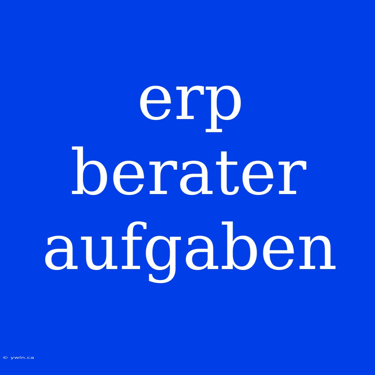 Erp Berater Aufgaben