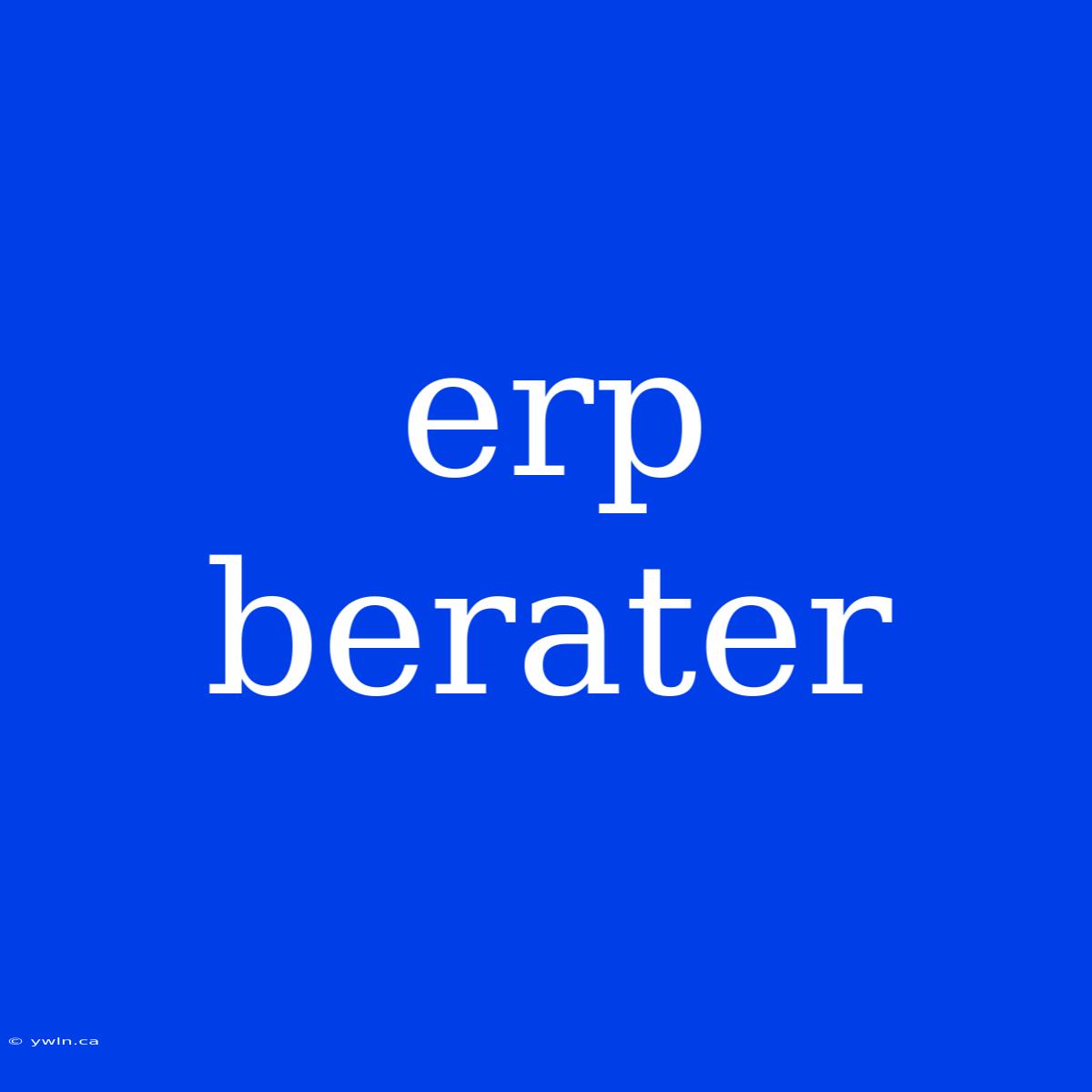 Erp Berater