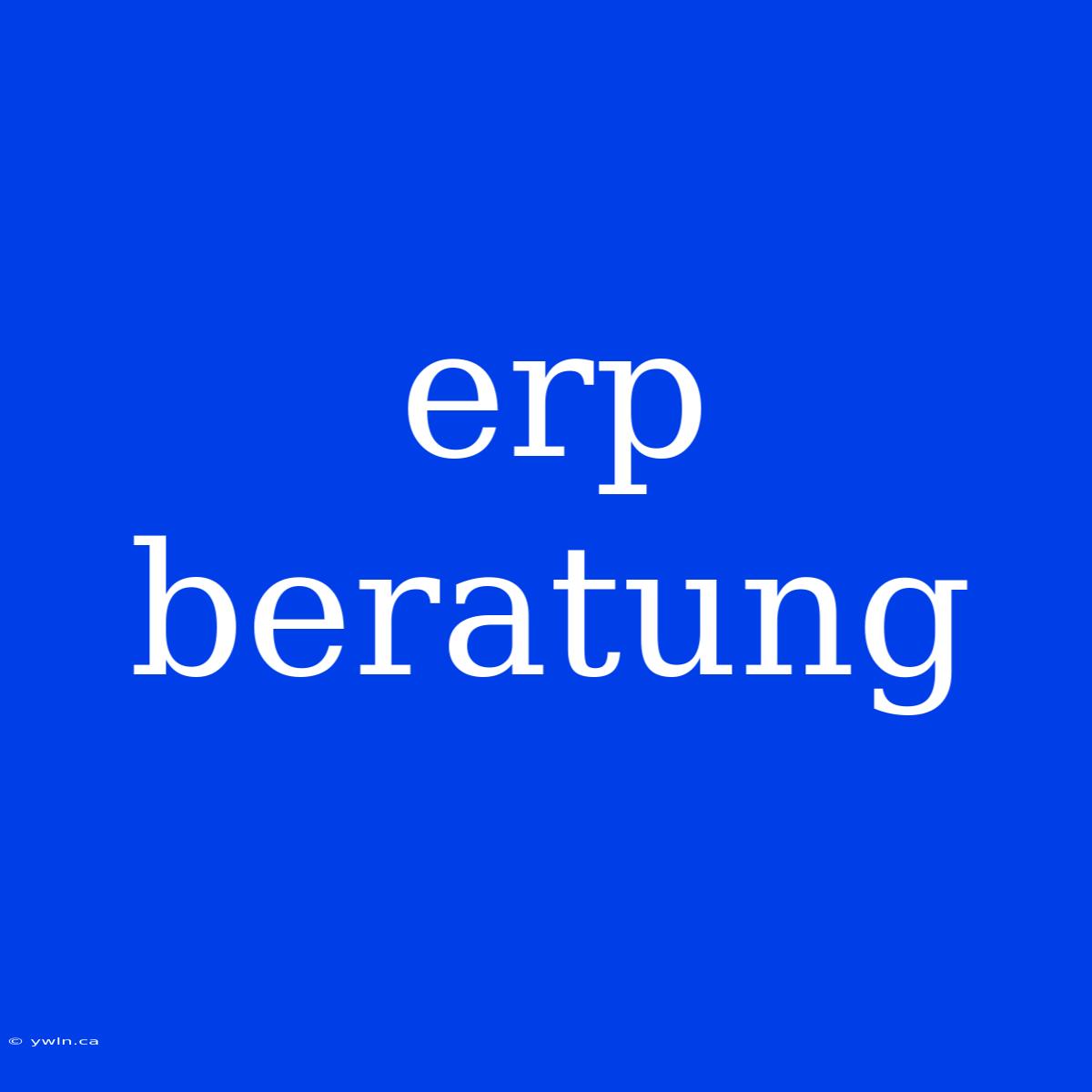 Erp Beratung