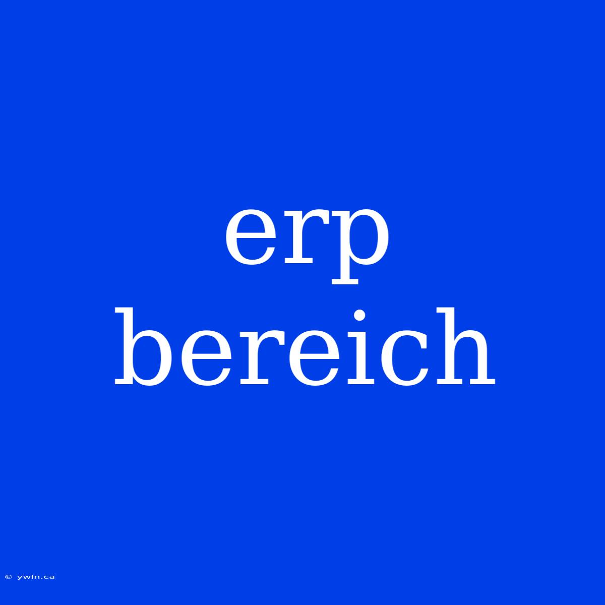 Erp Bereich