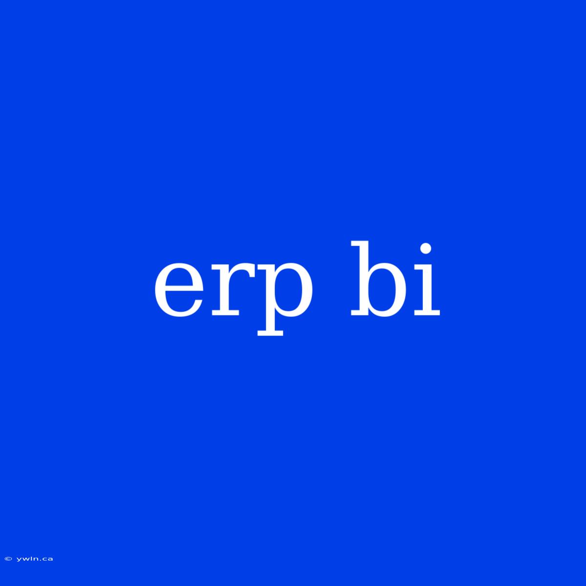 Erp Bi