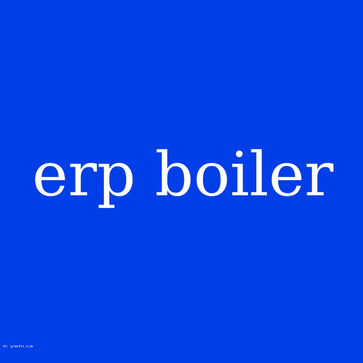 Erp Boiler