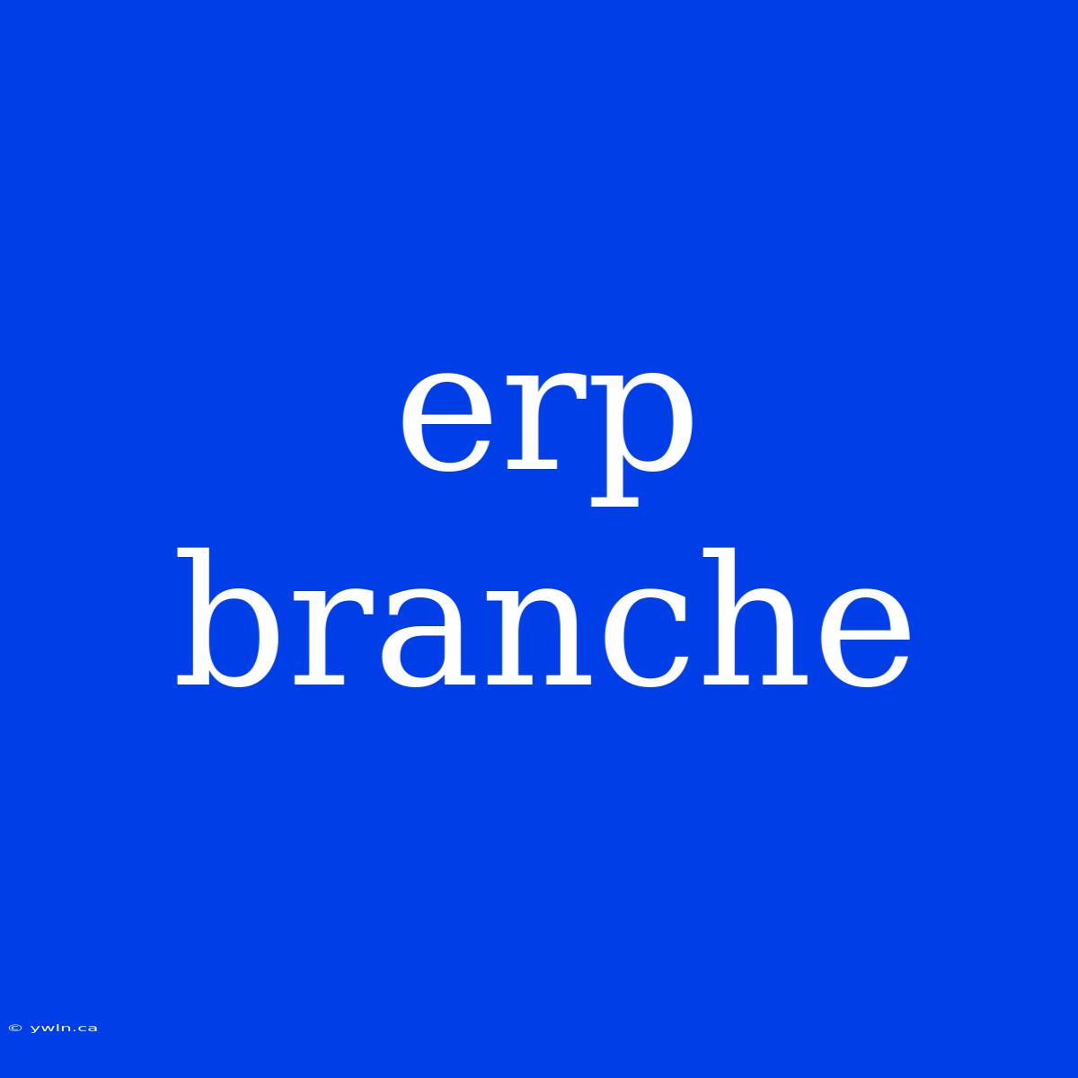 Erp Branche