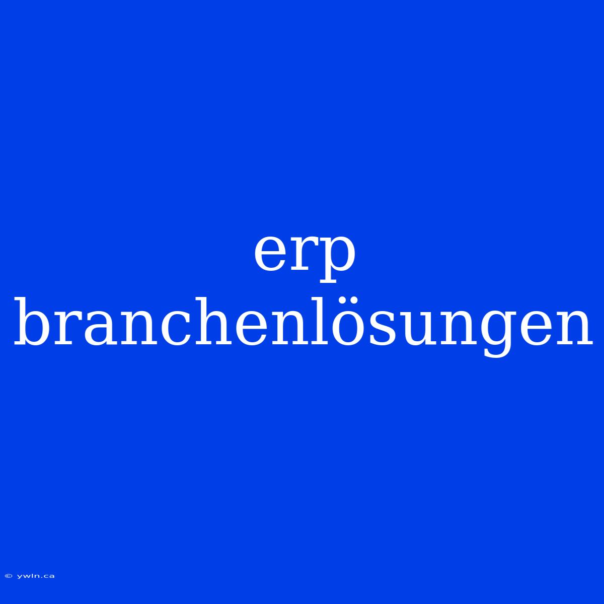 Erp Branchenlösungen