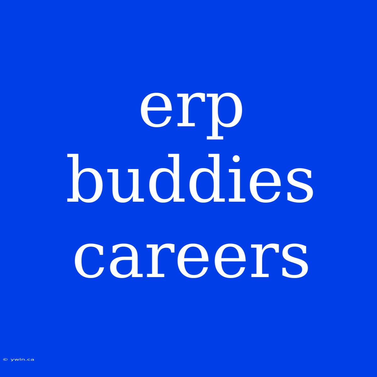 Erp Buddies Careers