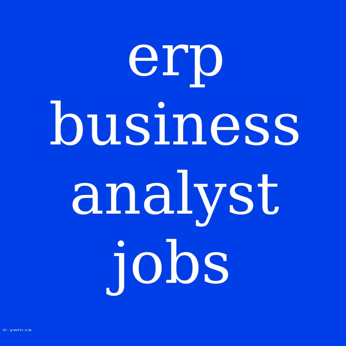 Erp Business Analyst Jobs