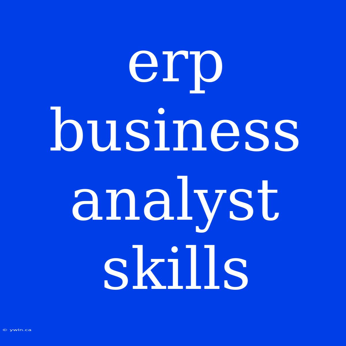 Erp Business Analyst Skills