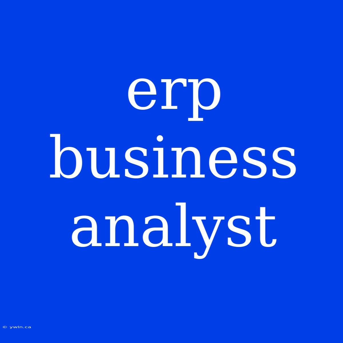 Erp Business Analyst