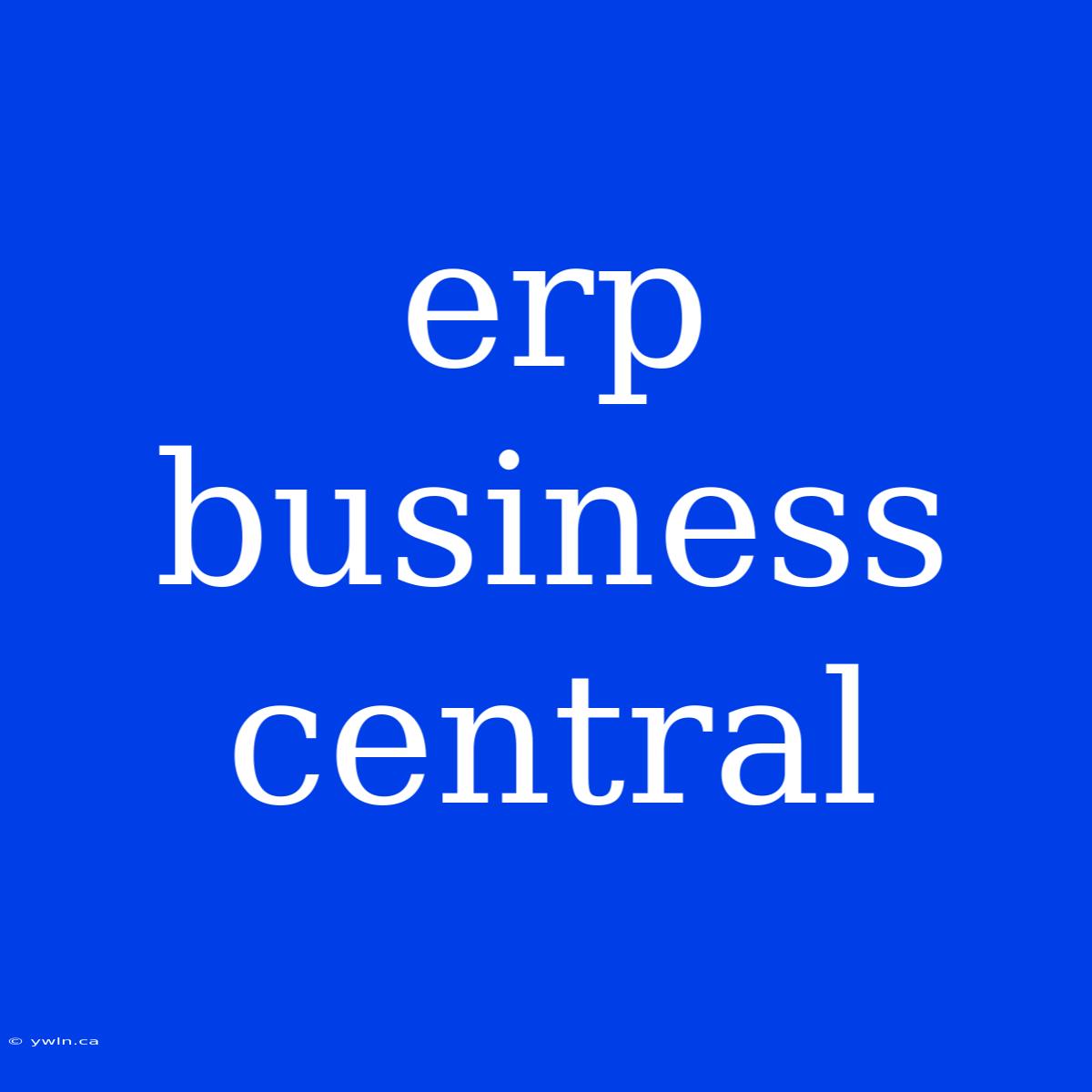 Erp Business Central