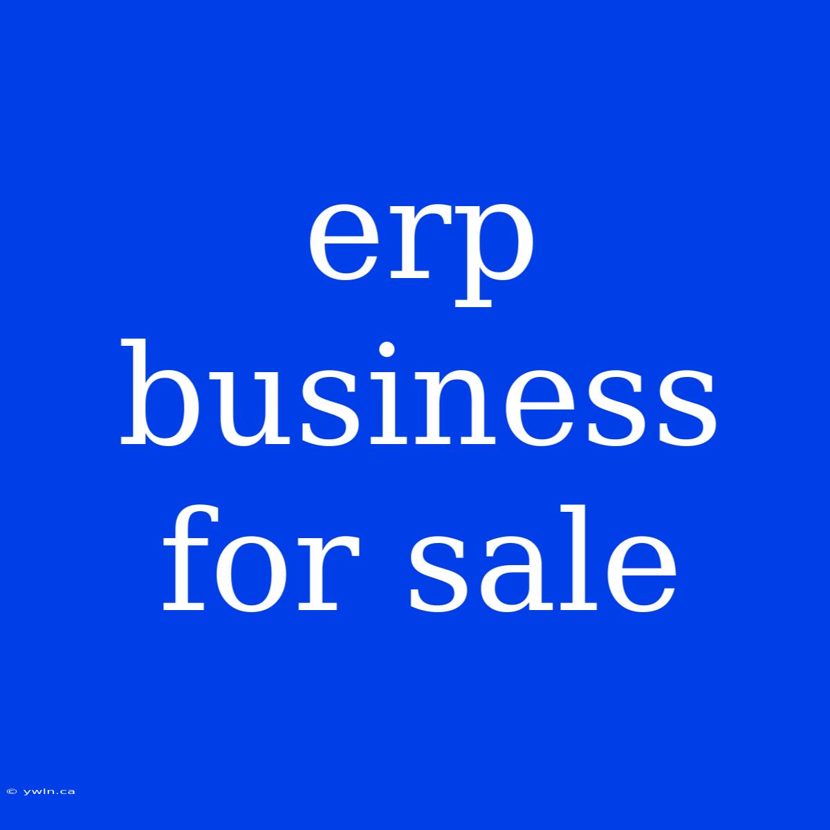 Erp Business For Sale