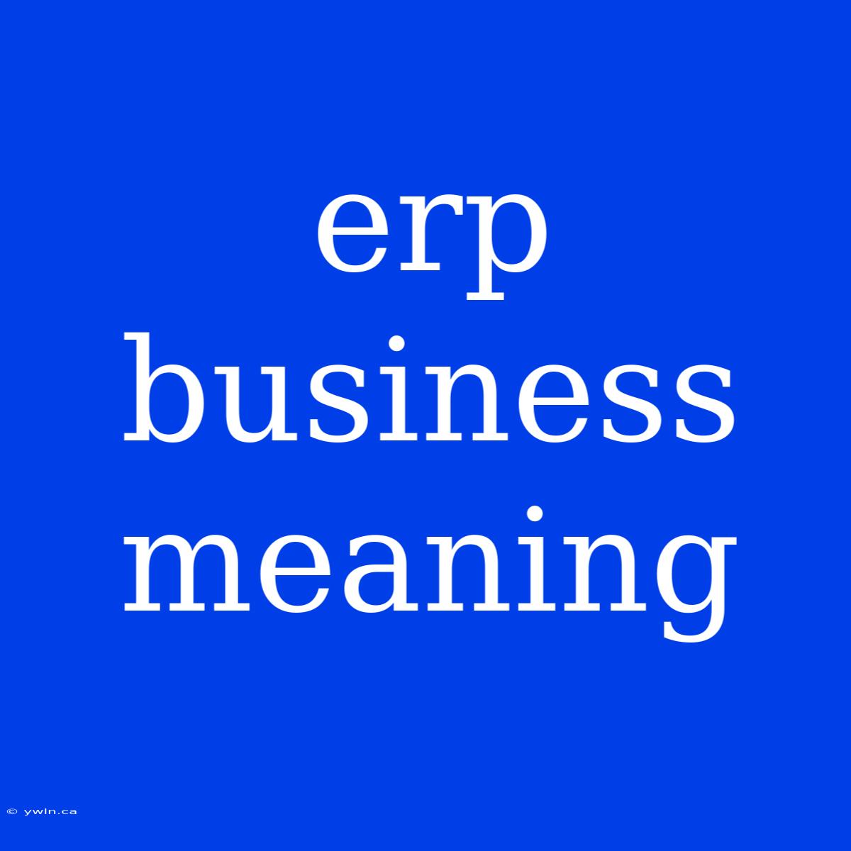 Erp Business Meaning