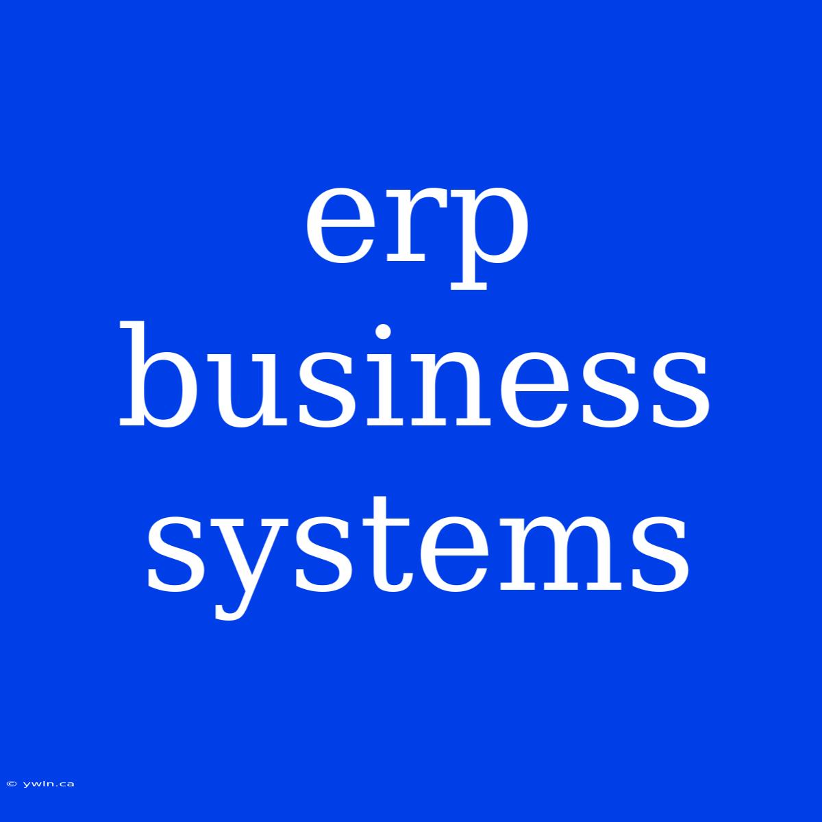 Erp Business Systems