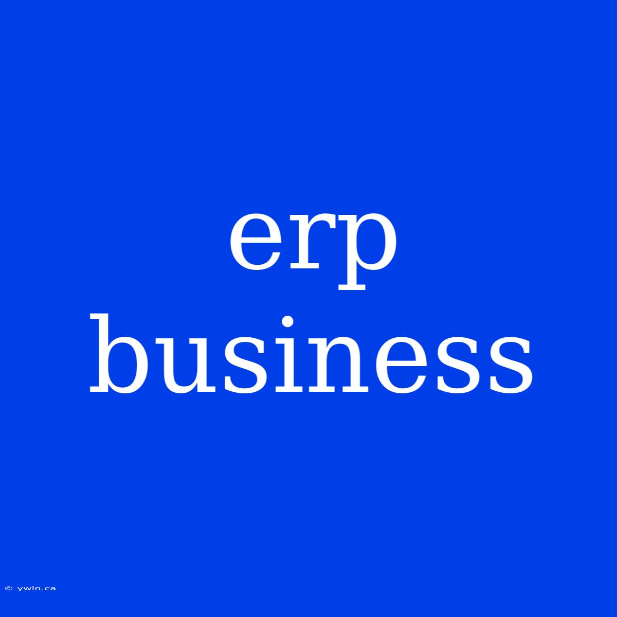 Erp Business