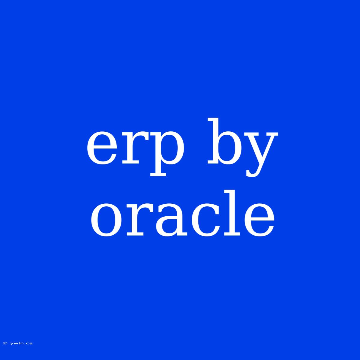 Erp By Oracle