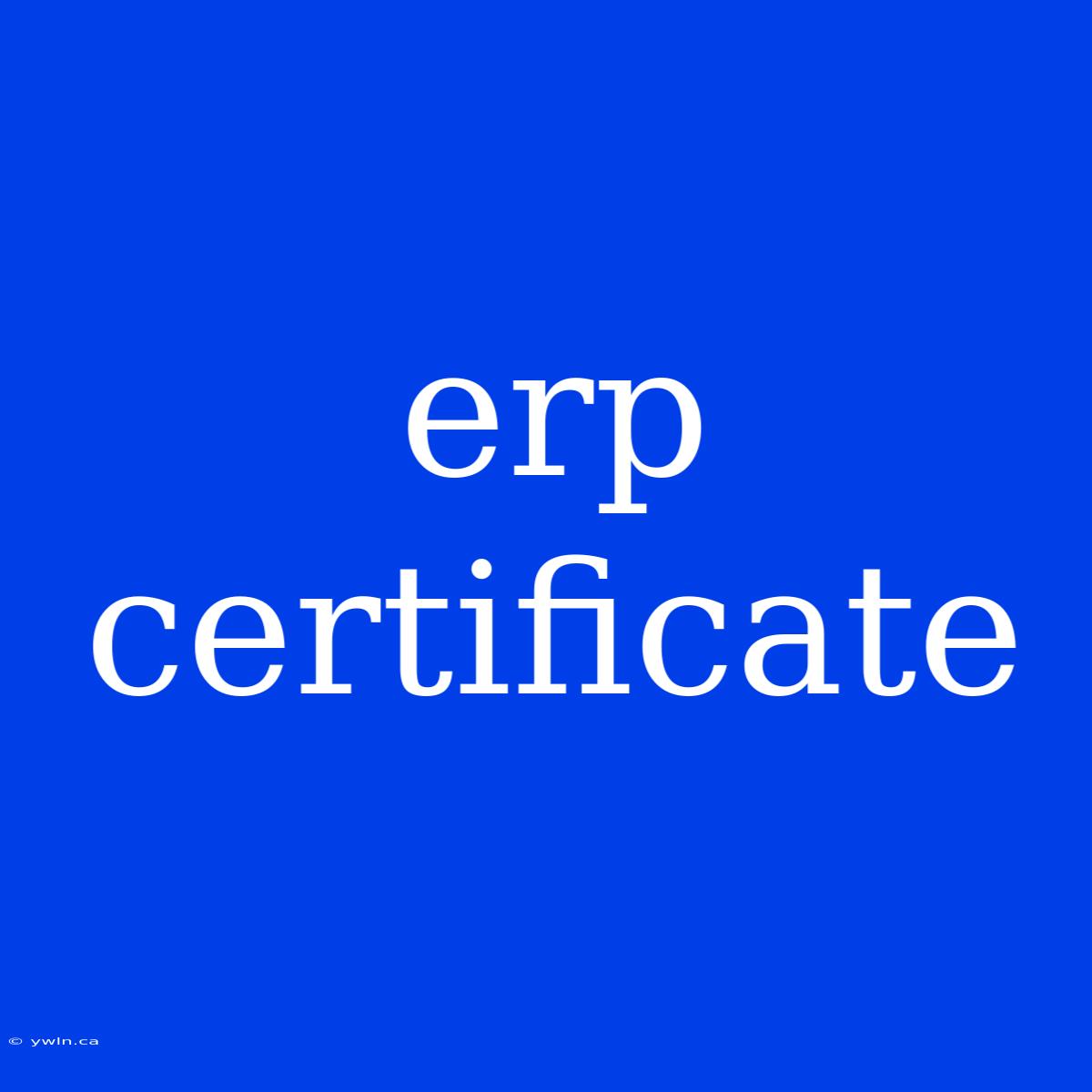 Erp Certificate