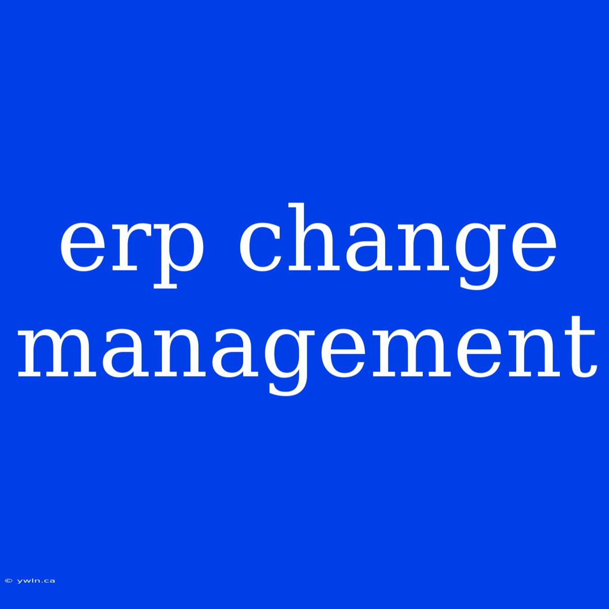 Erp Change Management