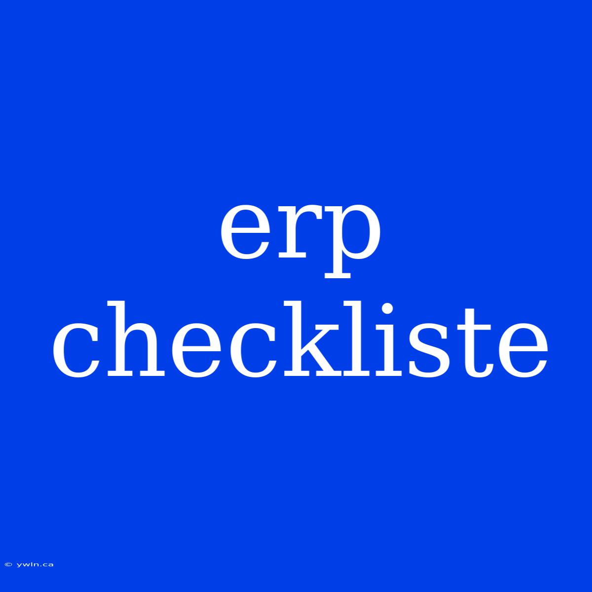 Erp Checkliste