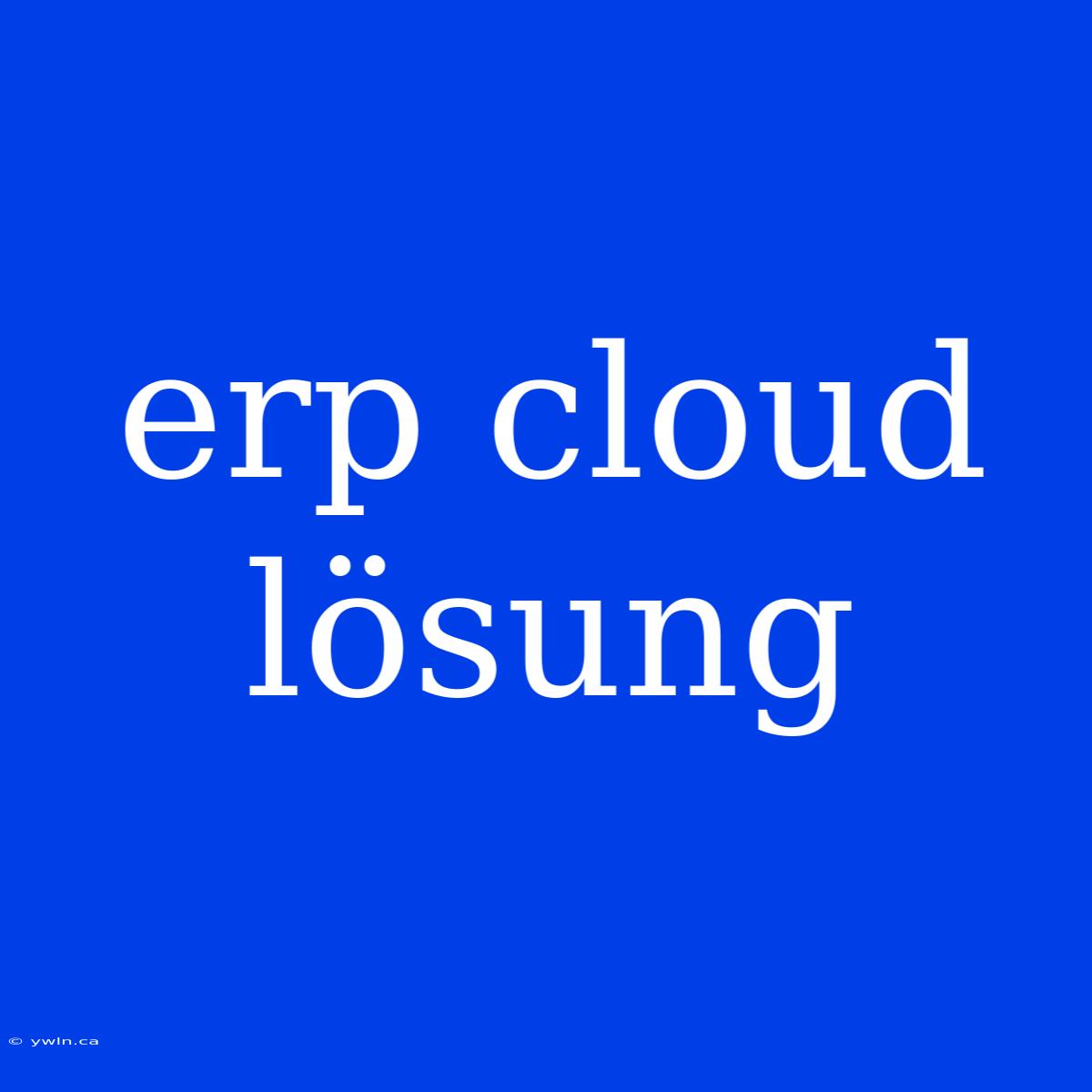 Erp Cloud Lösung