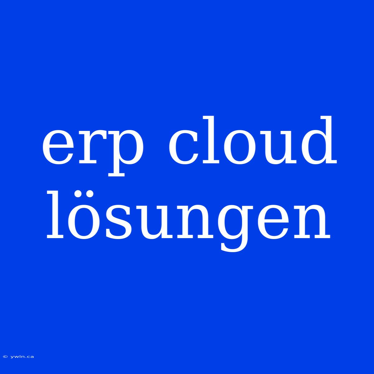 Erp Cloud Lösungen