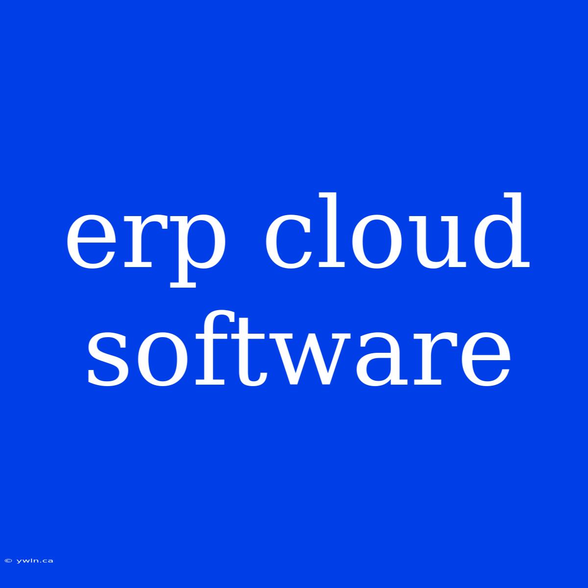 Erp Cloud Software