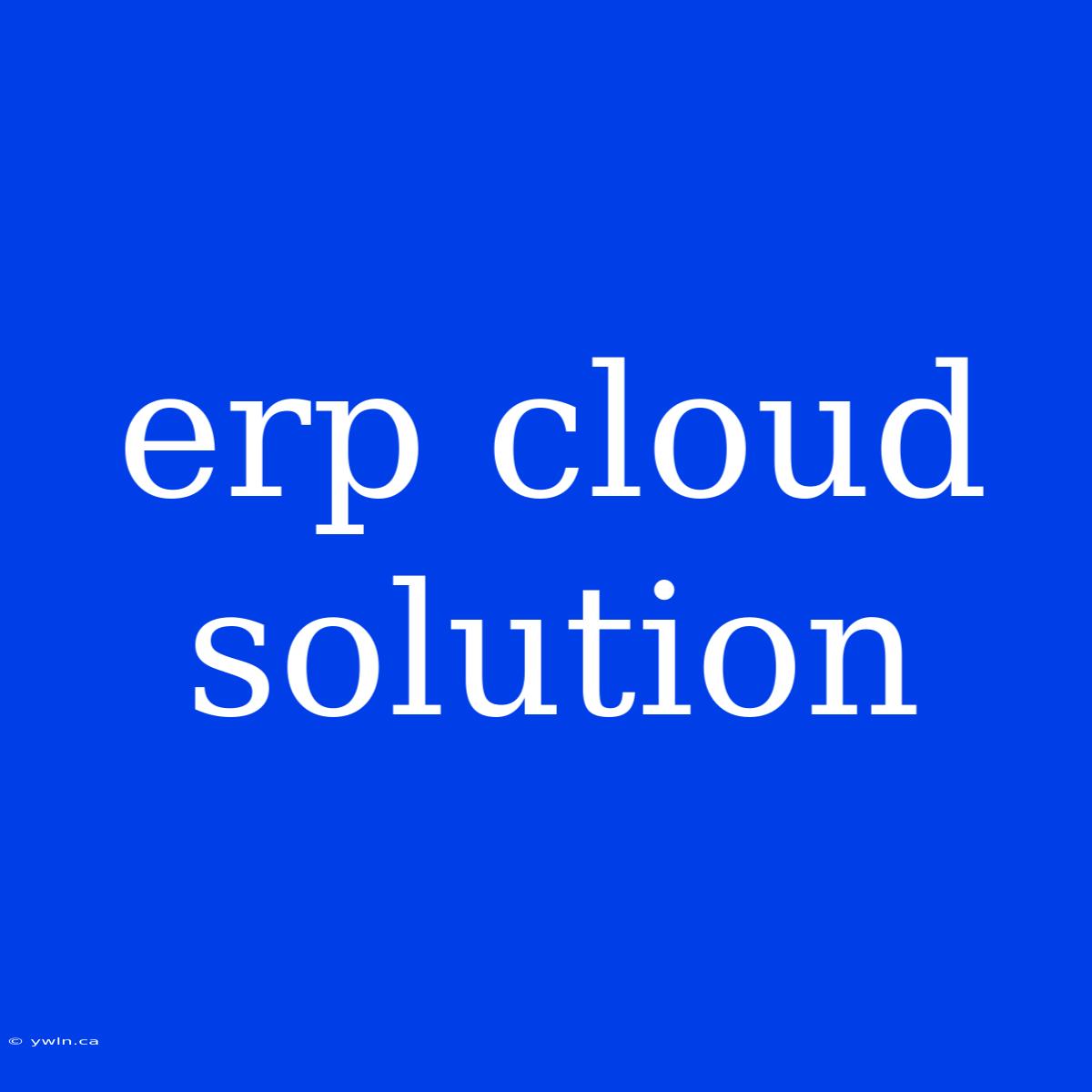 Erp Cloud Solution