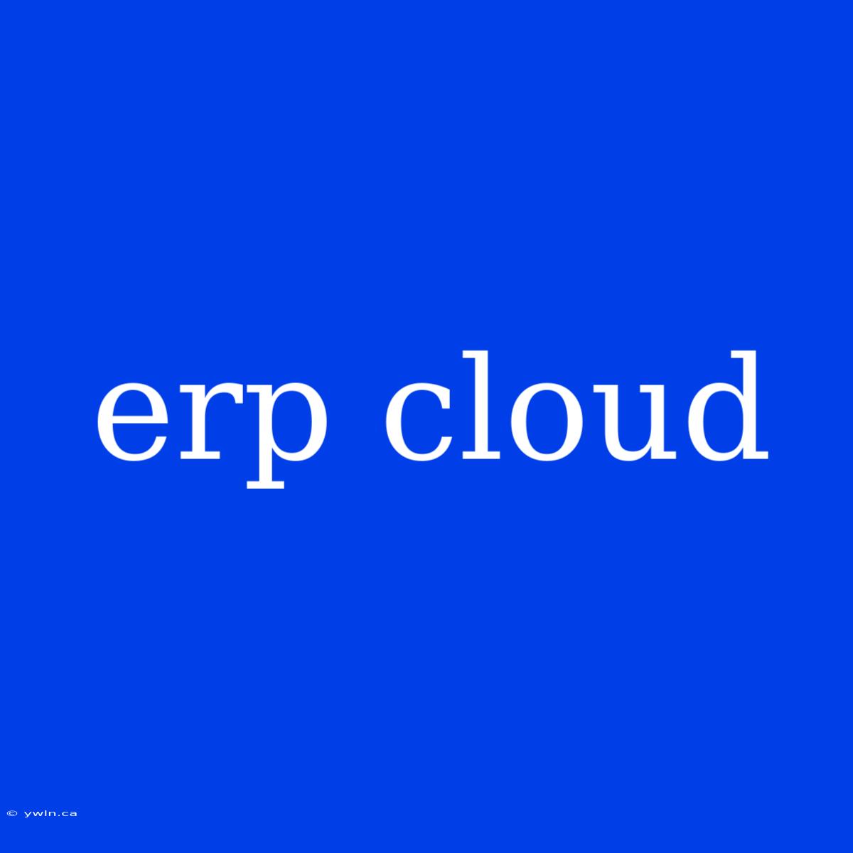 Erp Cloud