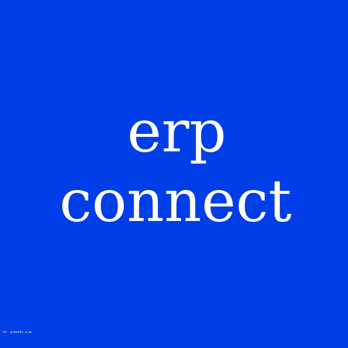 Erp Connect