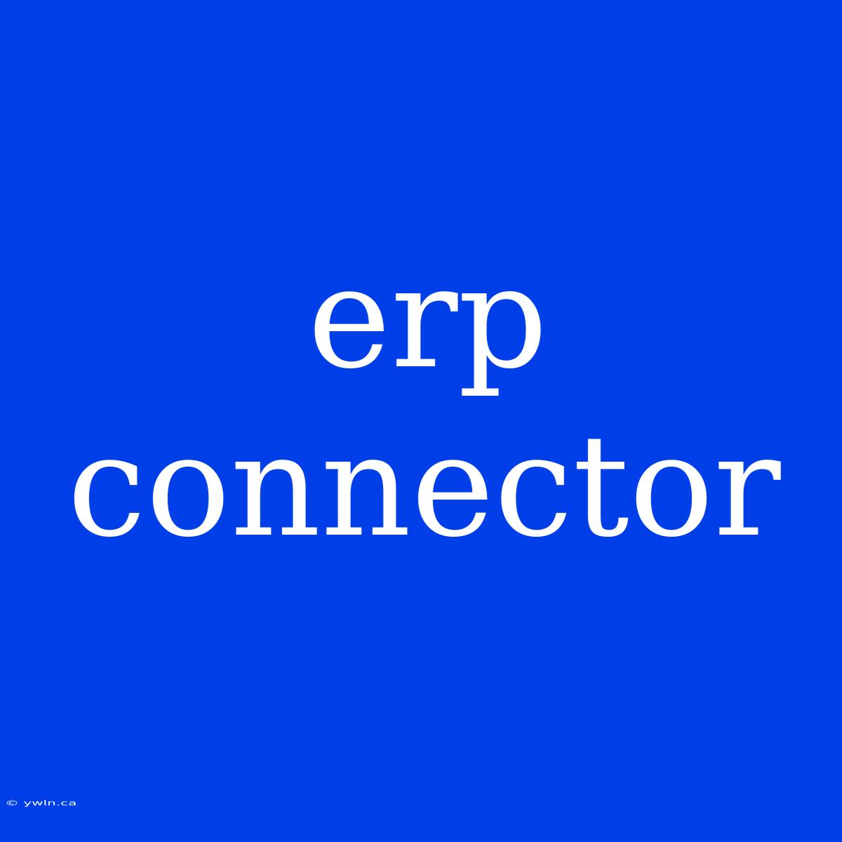 Erp Connector