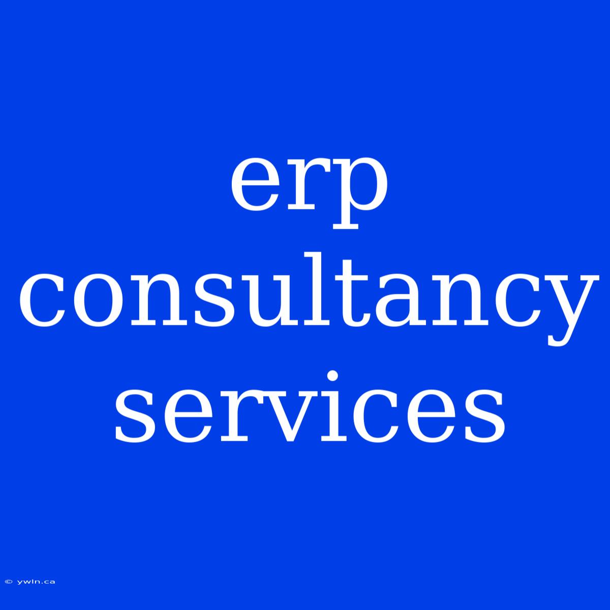 Erp Consultancy Services