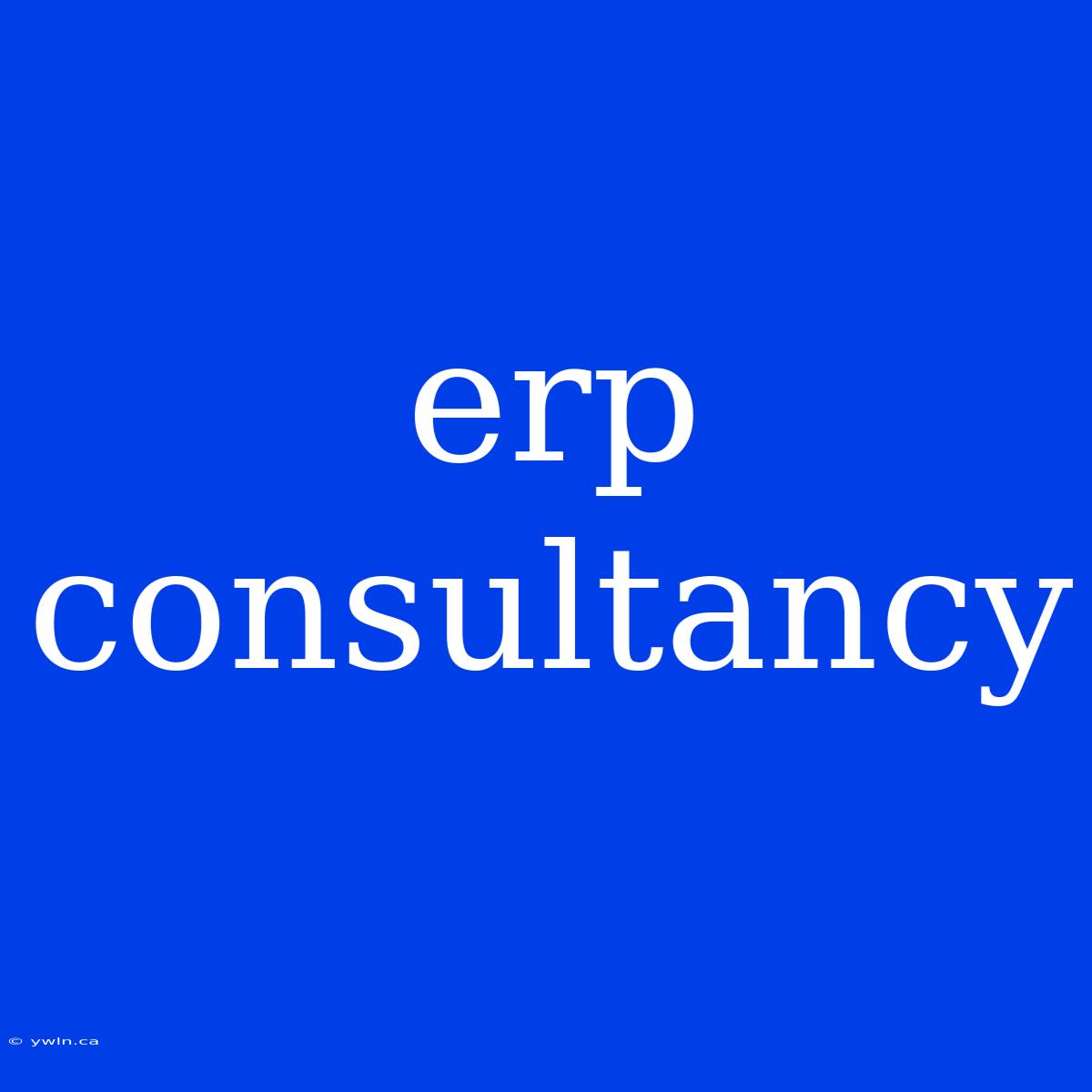 Erp Consultancy