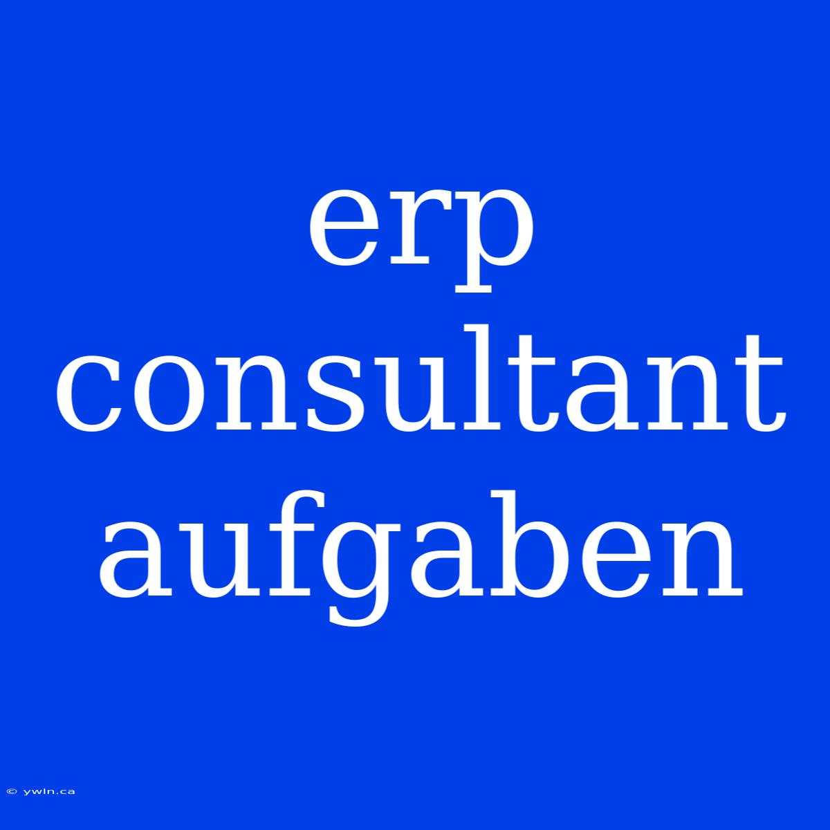 Erp Consultant Aufgaben