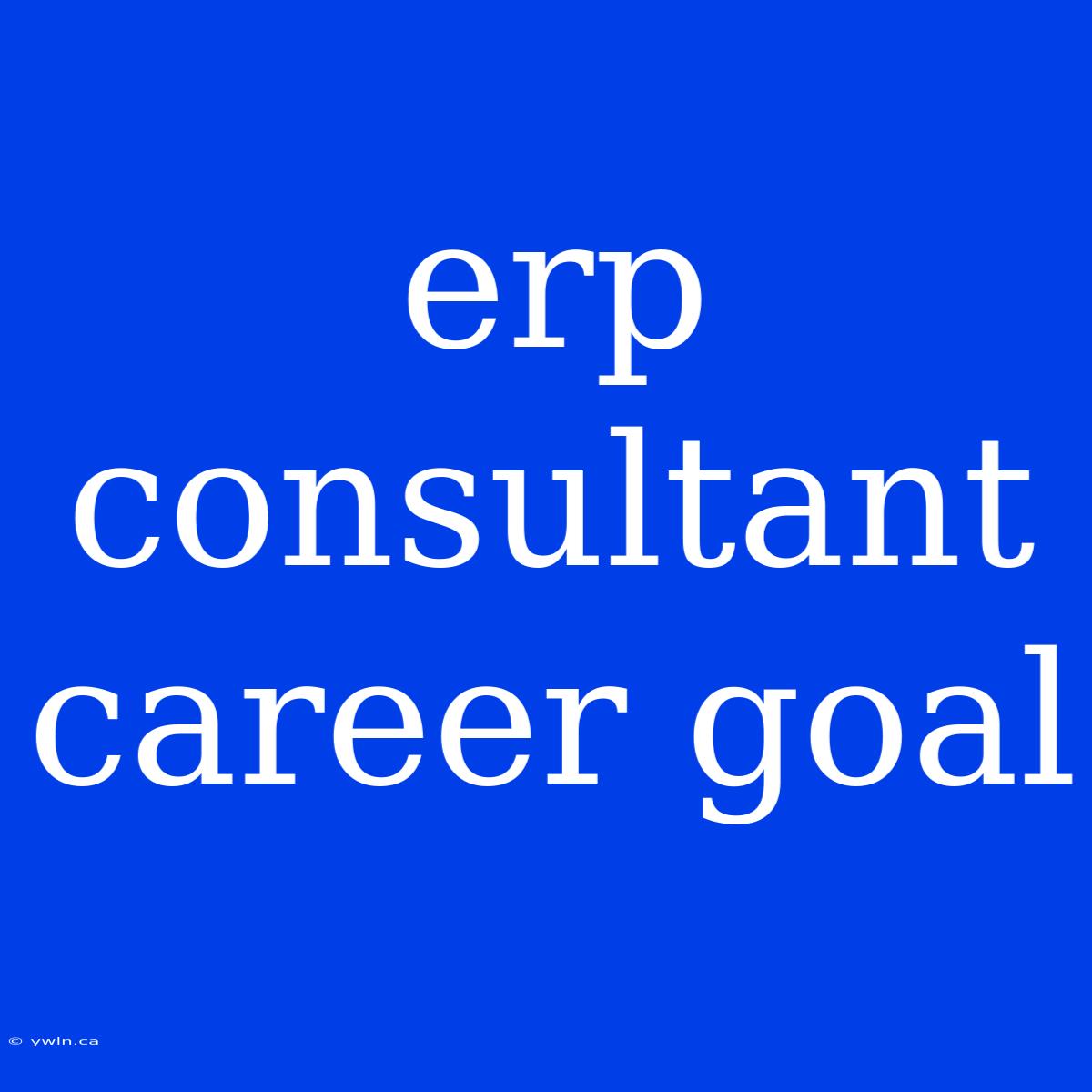 Erp Consultant Career Goal