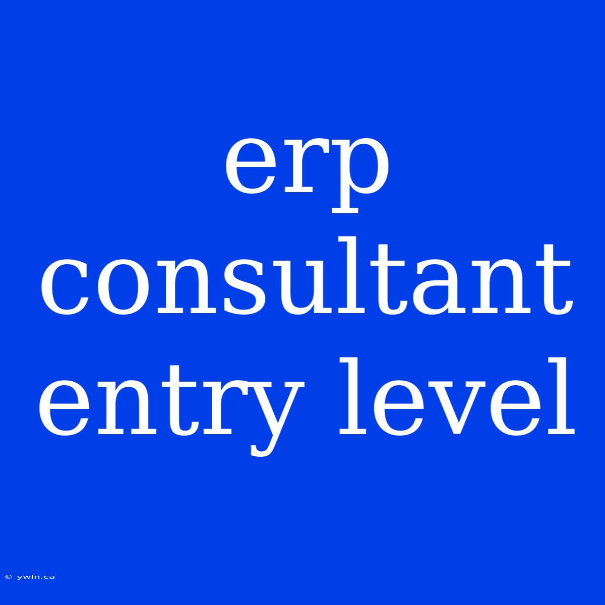 Erp Consultant Entry Level