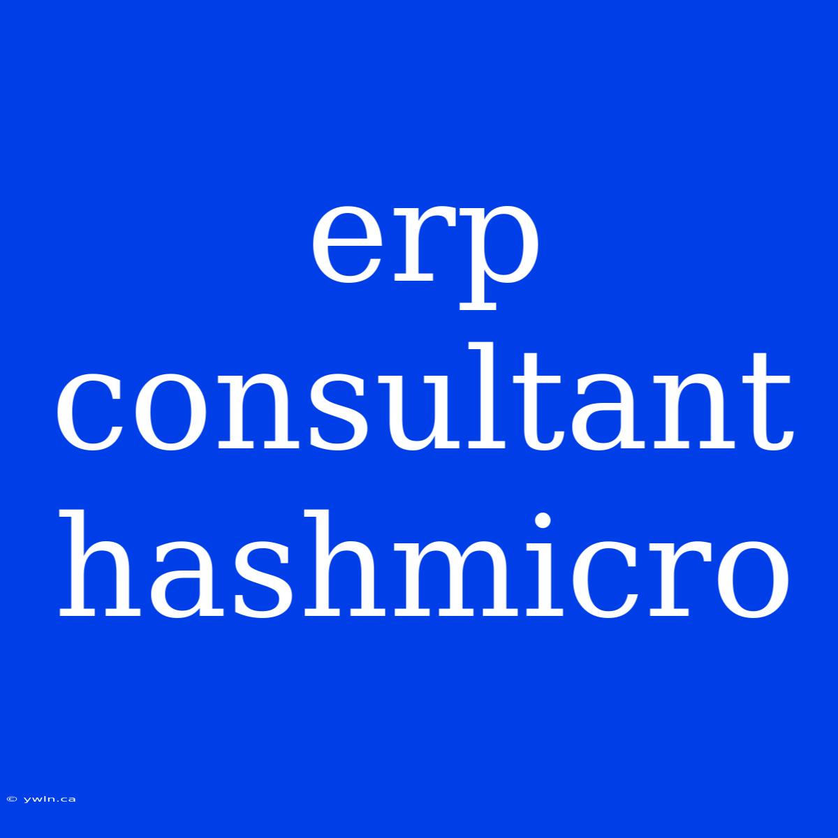 Erp Consultant Hashmicro