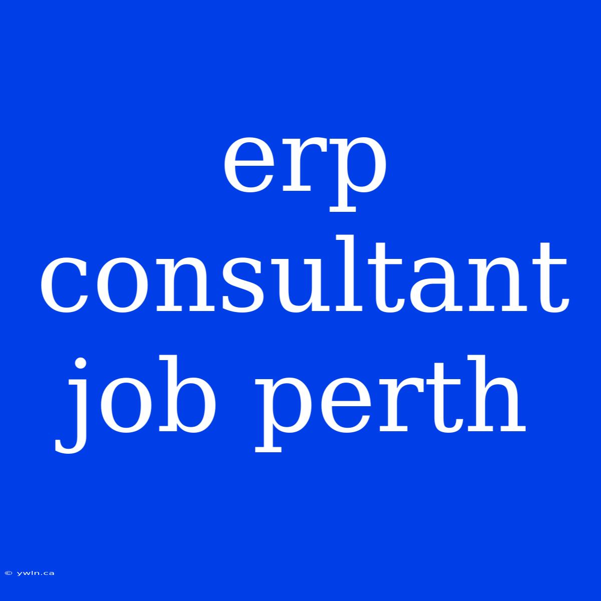 Erp Consultant Job Perth