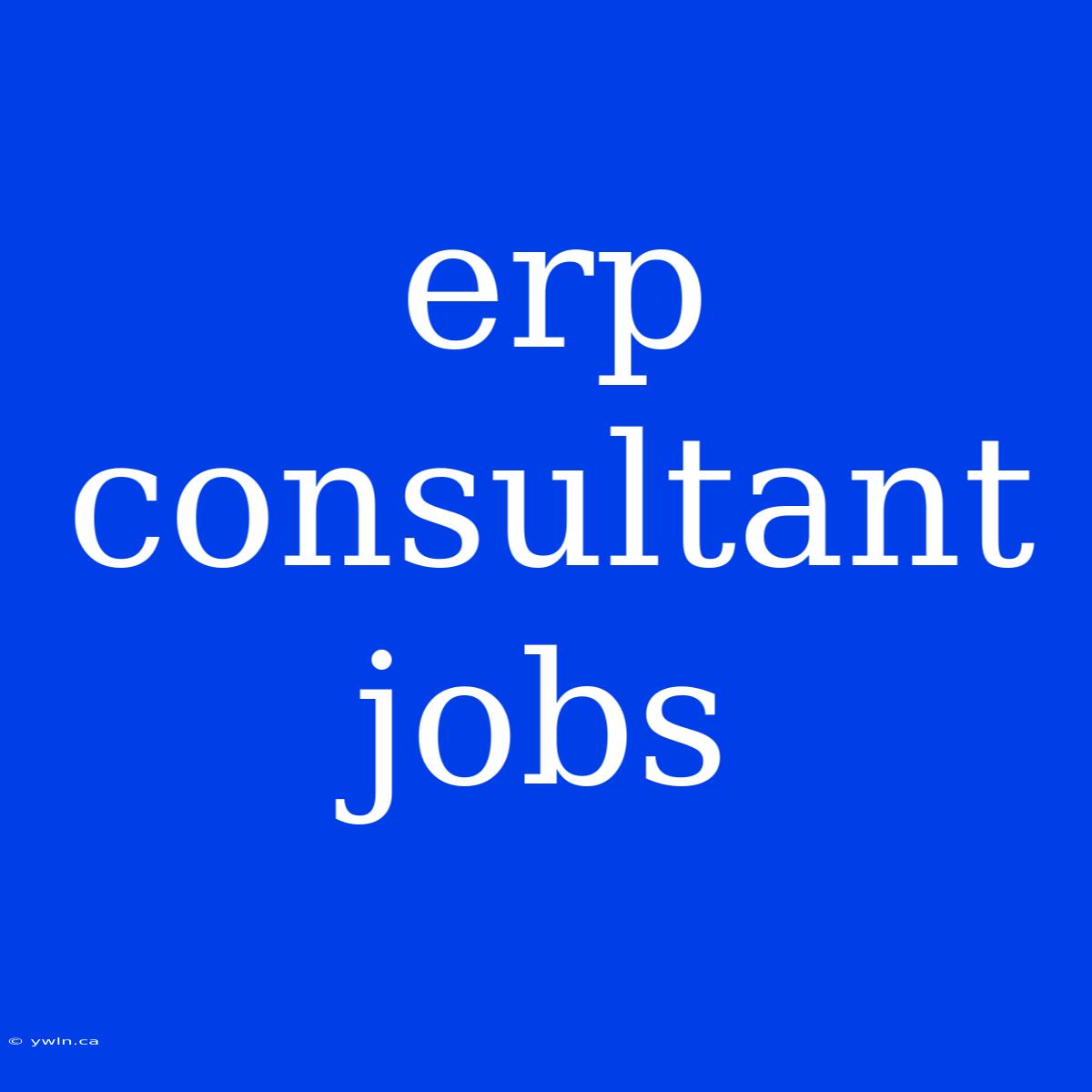 Erp Consultant Jobs