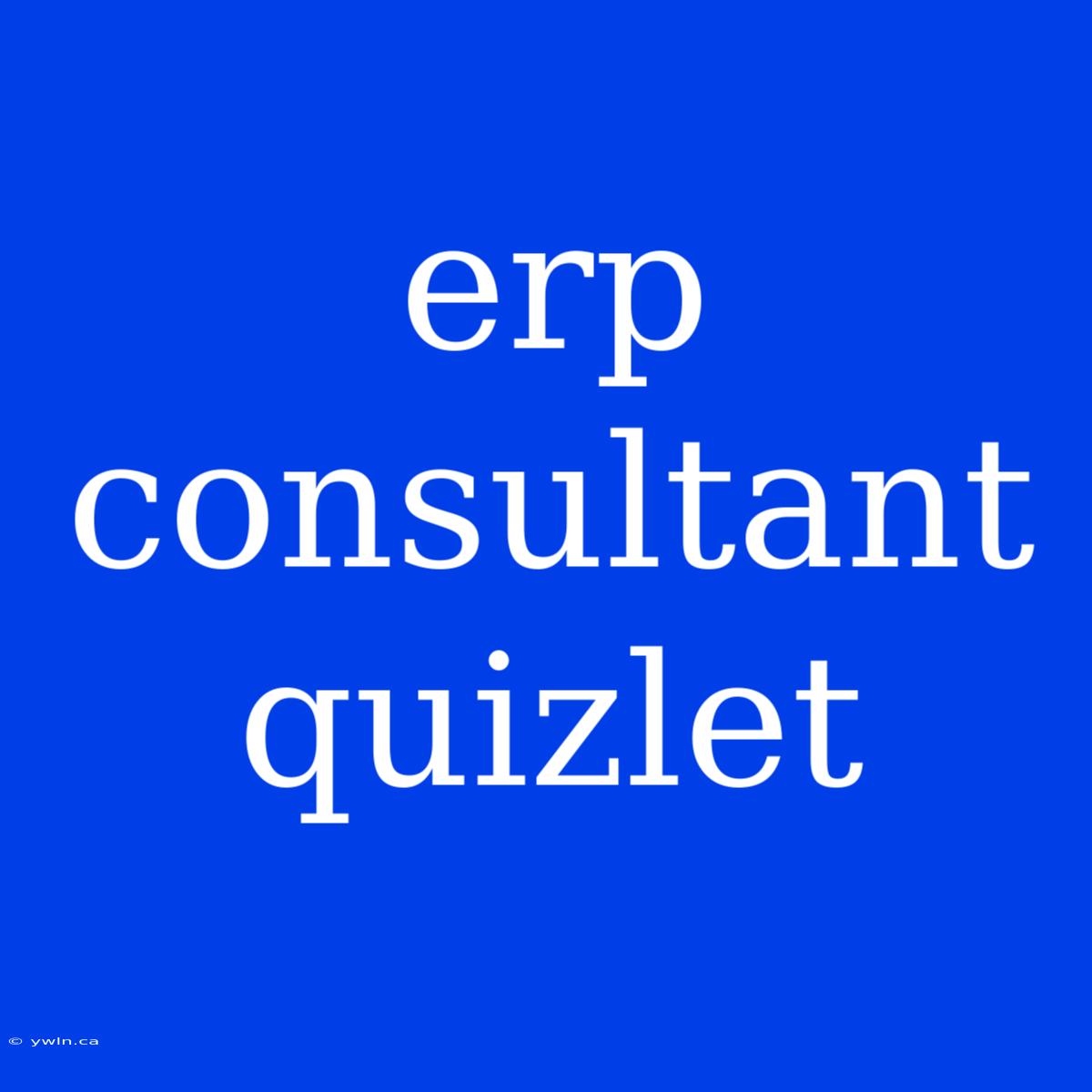 Erp Consultant Quizlet