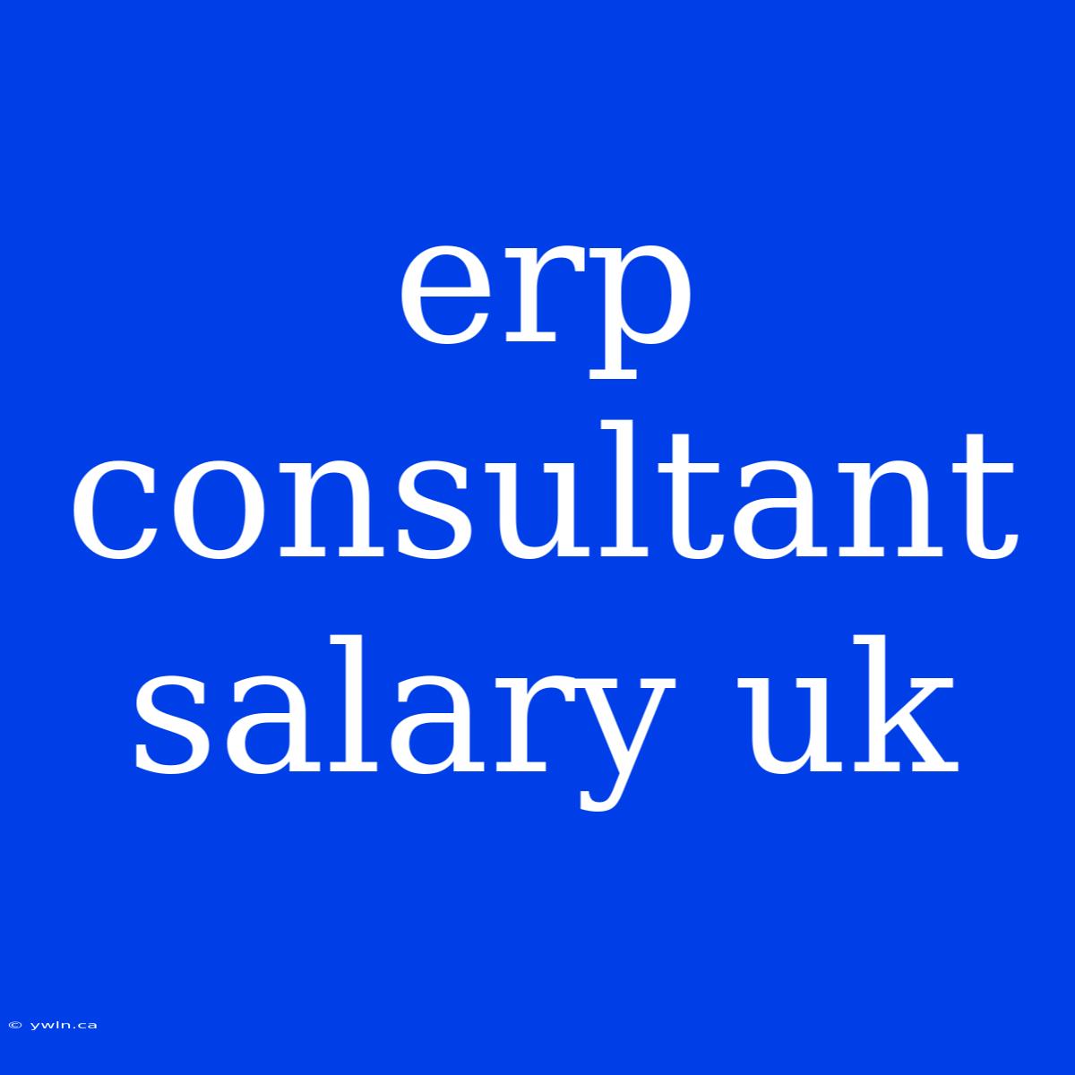 Erp Consultant Salary Uk