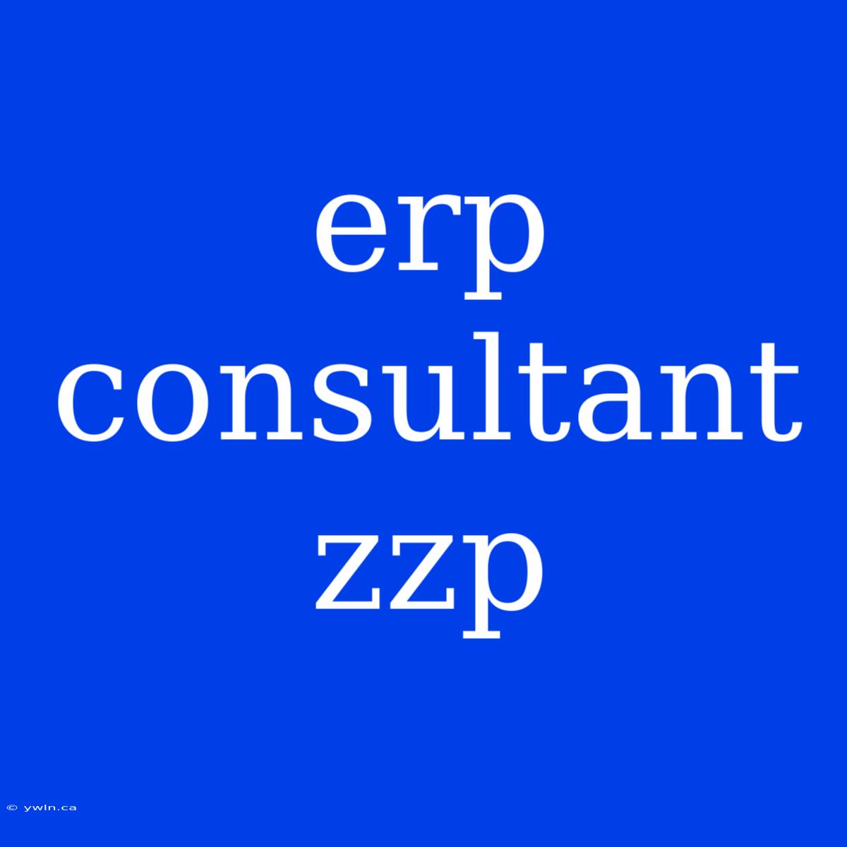 Erp Consultant Zzp